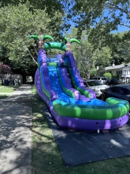 16ft purple slide