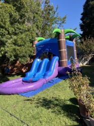 Purple Palm Tree Combo