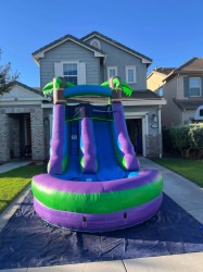 13ft Purple Slide